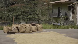 Santa Teresa: ¿solo una vía alterna para ir a Machu Picchu?