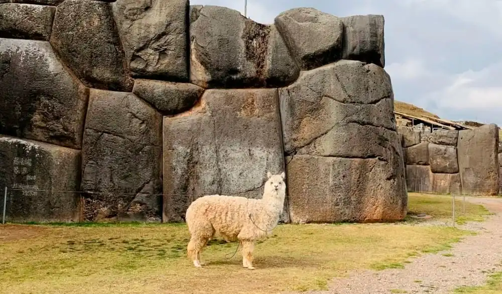 Caminata a Saqsayhuaman
