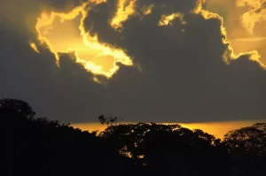 Manu: aventura en la Amazonia peruana