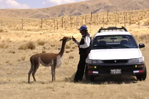 Biodiversity: Encounters with Peruvian wildlife