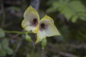 Cusco es naturaleza: ¡Descúbrela!