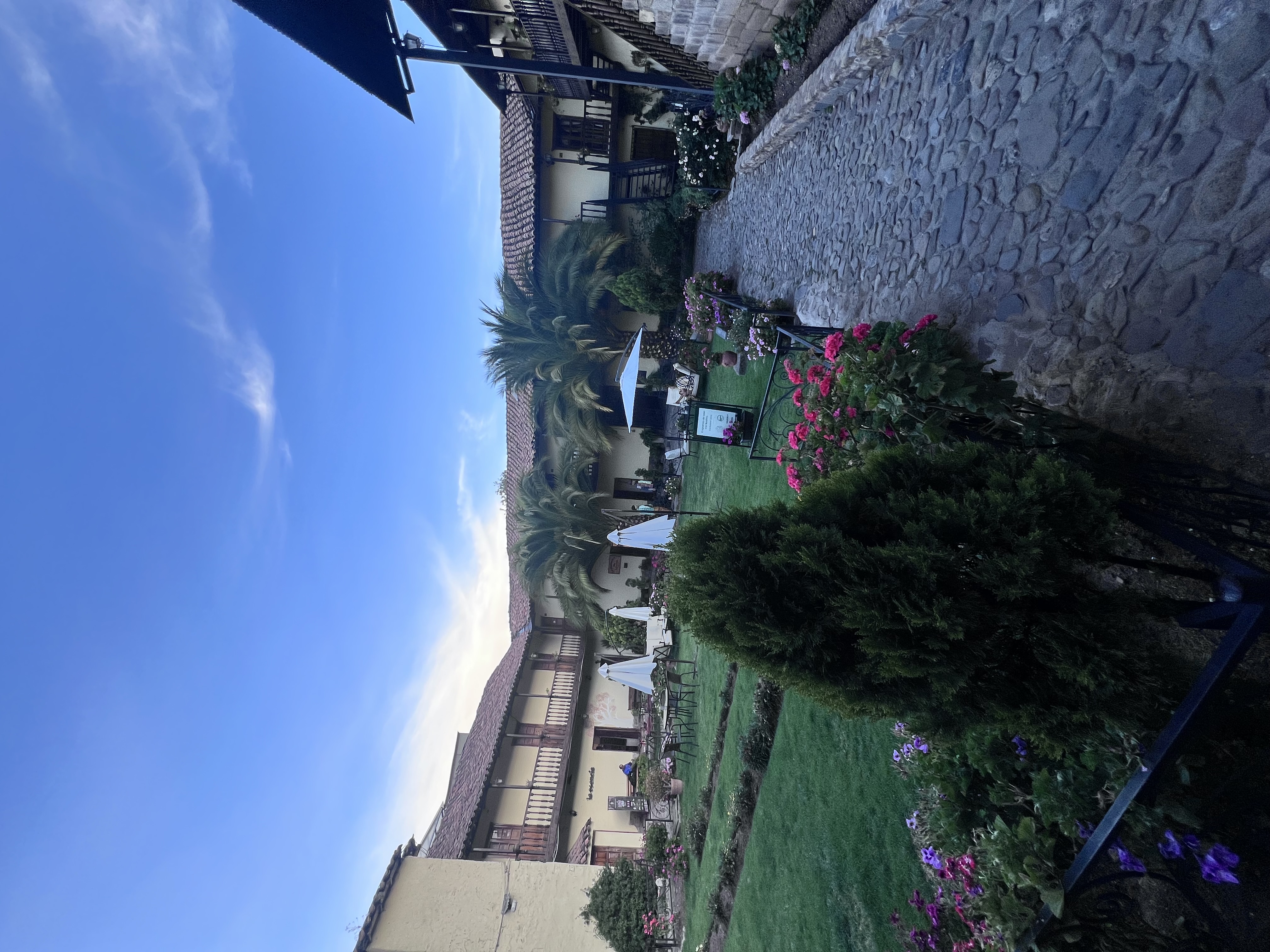 IMG_6943.jpeg